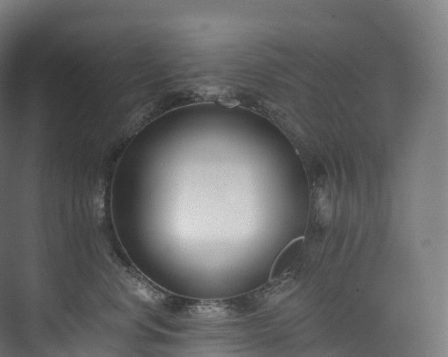 X0000073480668200608071022