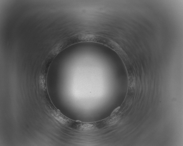 X0000073480669200608071022