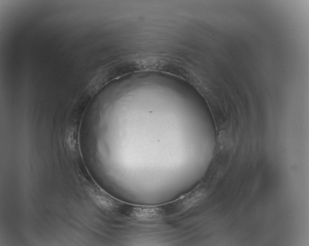 X0000073480671200608071022