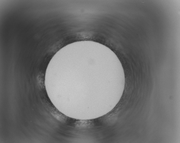 X0000073480672200608071022