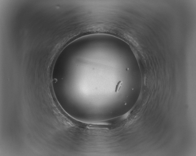 X0000073480673200608071021