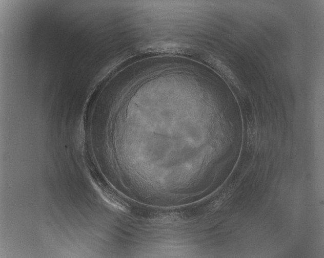 X0000073480674200608071021