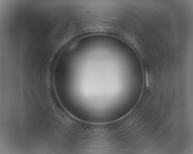 X0000073480675200608071021