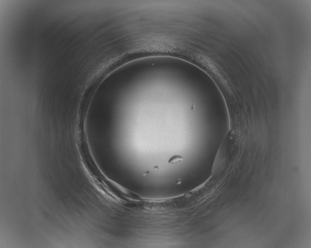 X0000073480677200608071021