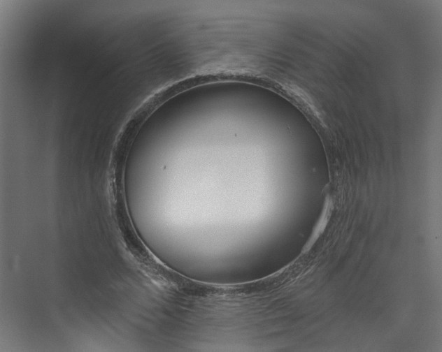 X0000073480680200608071021