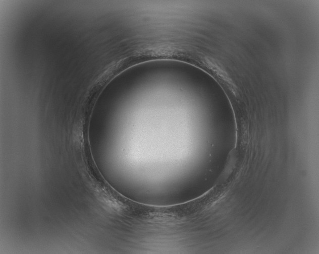 X0000073480681200608071021