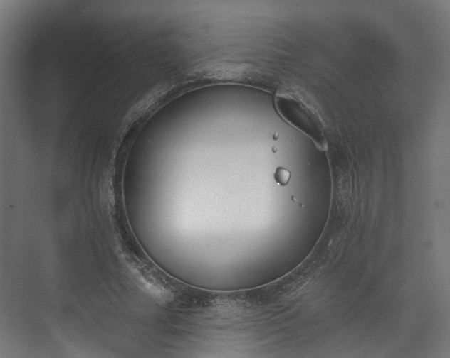 X0000073480682200608071021