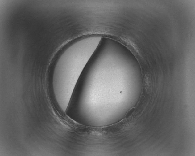 X0000073480684200608071021