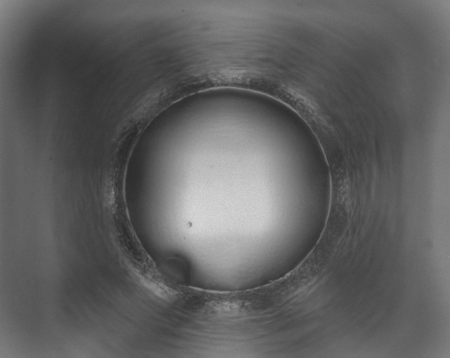 X0000073480687200608071021