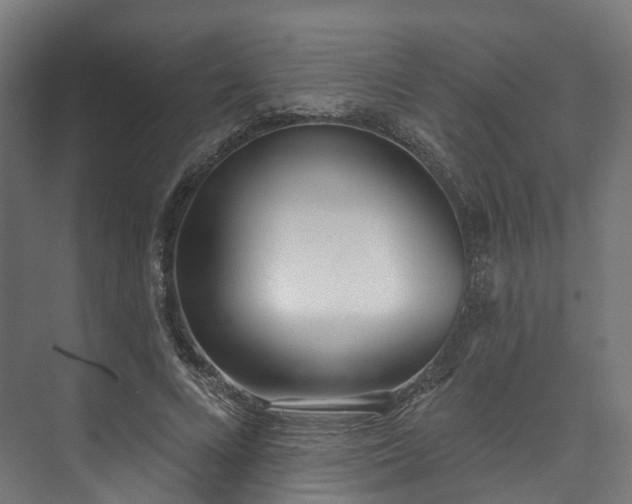 X0000073480688200608071021