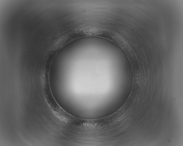 X0000073480690200608071021