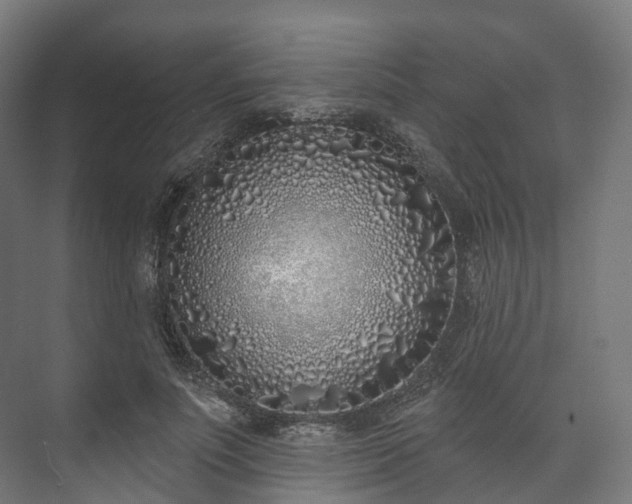 X0000073480691200608071021