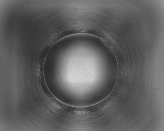 X0000073480693200608071021