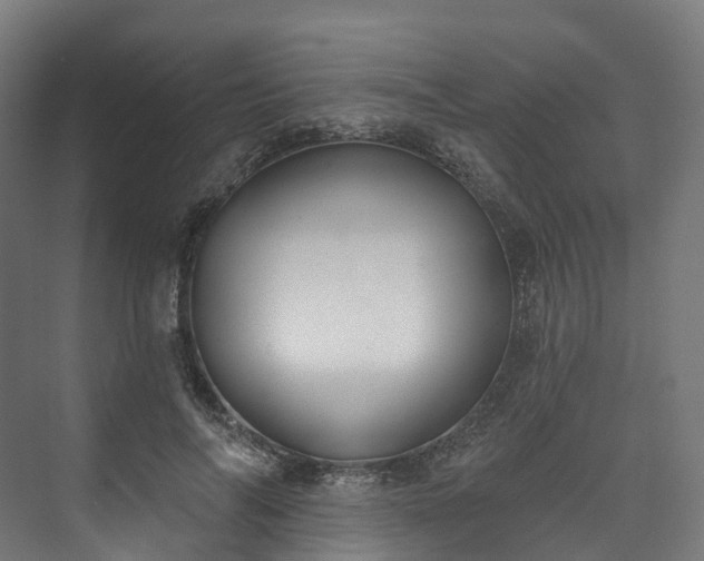 X0000073480694200608071021