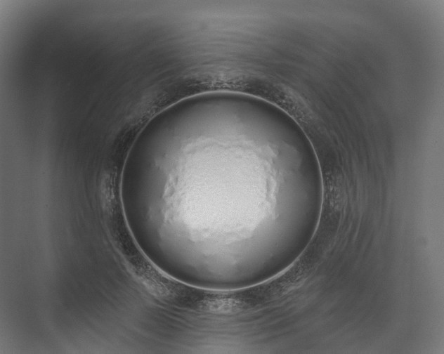 X0000073480695200608071021