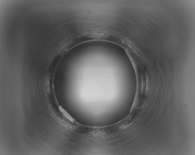 X0000073480696200608071021