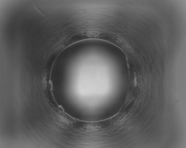 X0000073480697200608071021