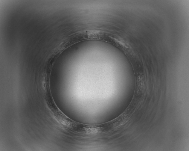 X0000073480698200608071021