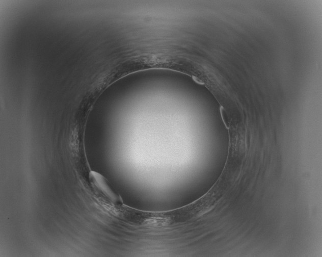 X0000073480700200608071021