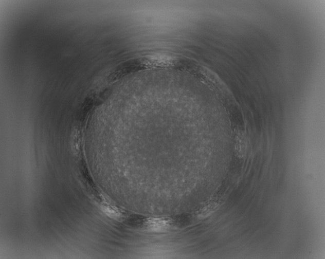 X0000073480701200608071021