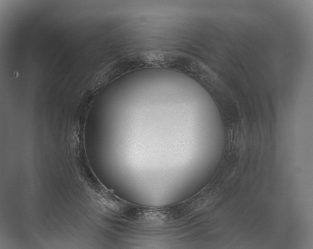 X0000073480702200608071021