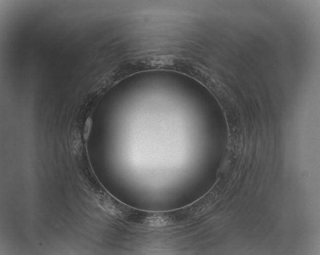 X0000073480704200608071021