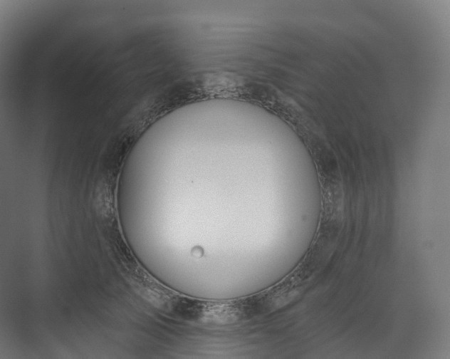 X0000073480705200608071021