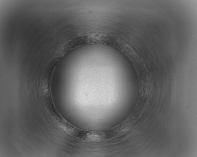 X0000073480706200608071021