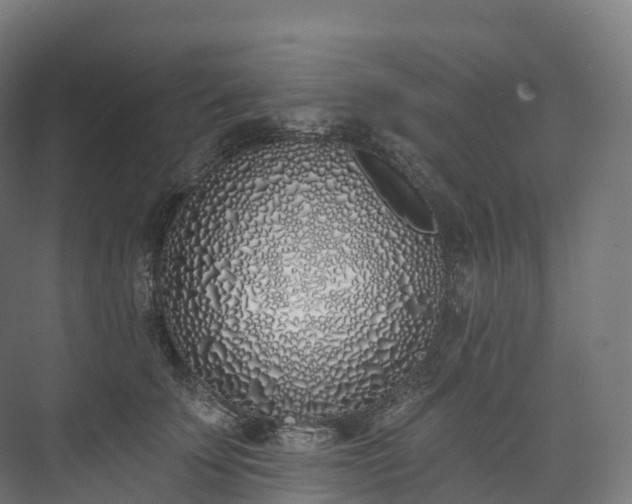 X0000073480707200608071021