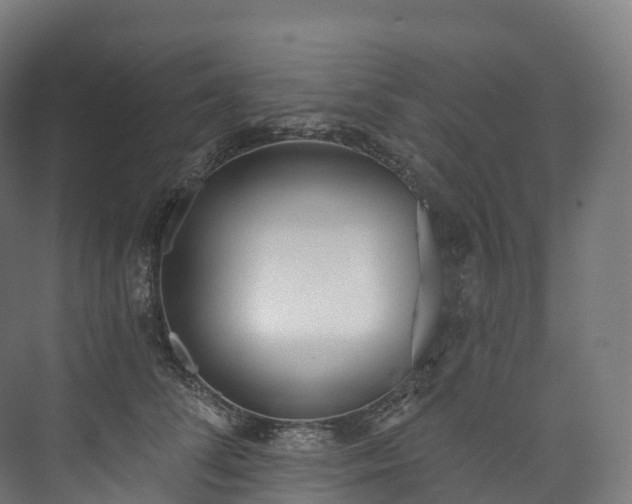 X0000073480708200608071021