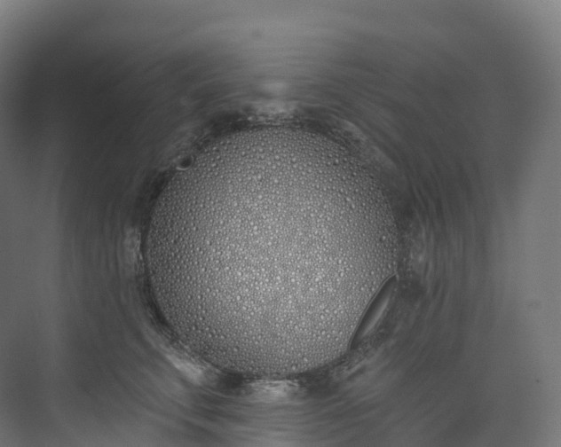 X0000073480711200608071021