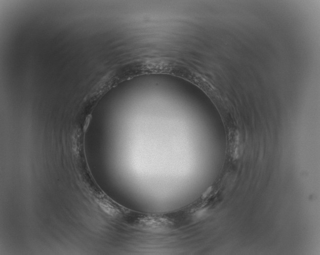 X0000073480712200608071021