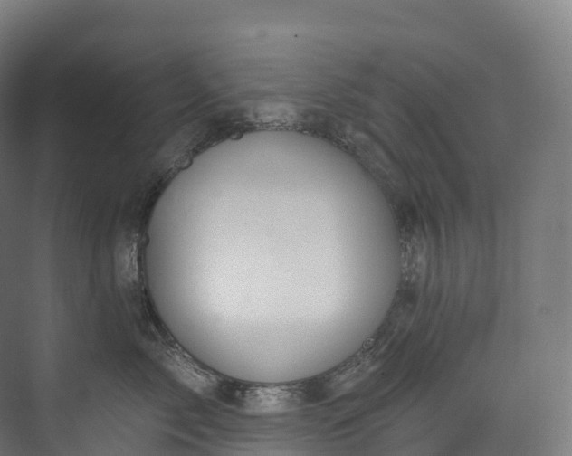 X0000073480717200608071021