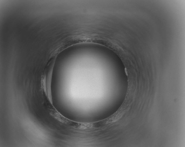 X0000073480720200608071021