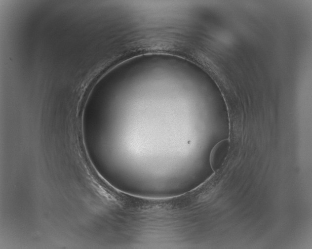 X0000073480721200608071020