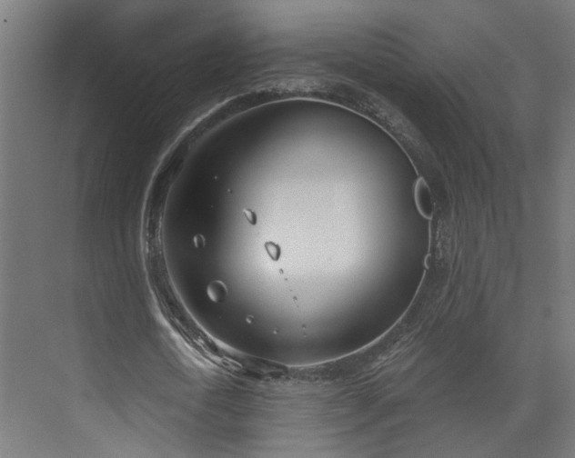 X0000073480722200608071020