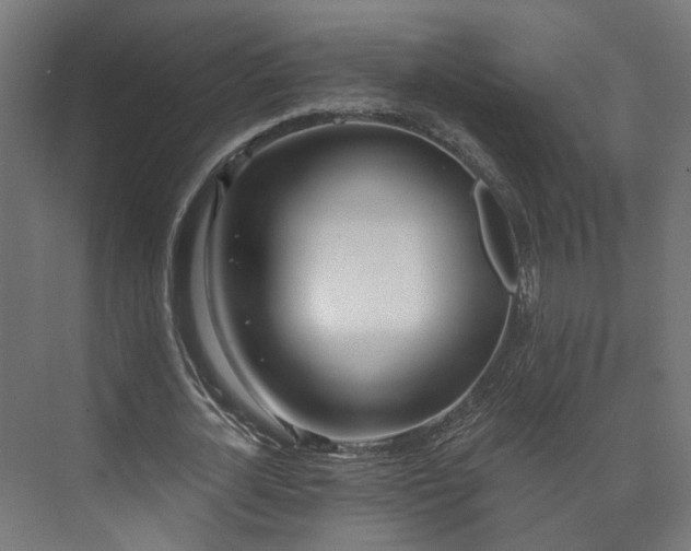 X0000073480724200608071020