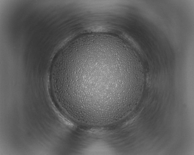 X0000073480725200608071020