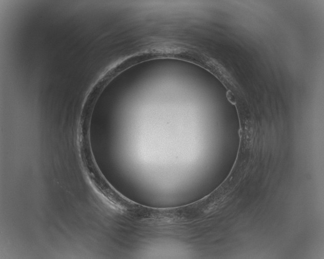 X0000073480726200608071020