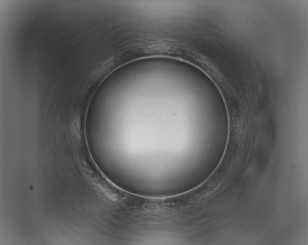 X0000073480729200608071020