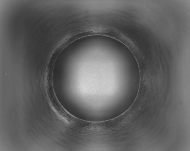 X0000073480730200608071020