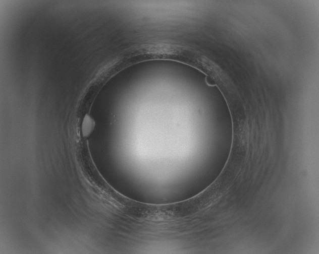 X0000073480731200608071020