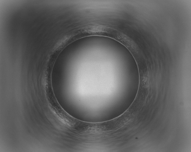 X0000073480732200608071020