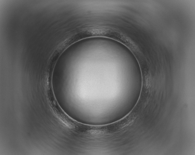 X0000073480733200608071020