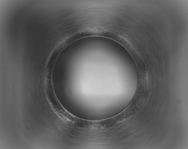 X0000073480736200608071020