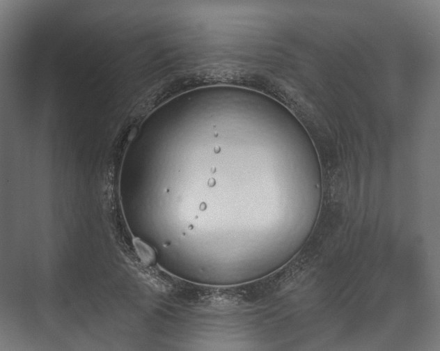 X0000073480737200608071020