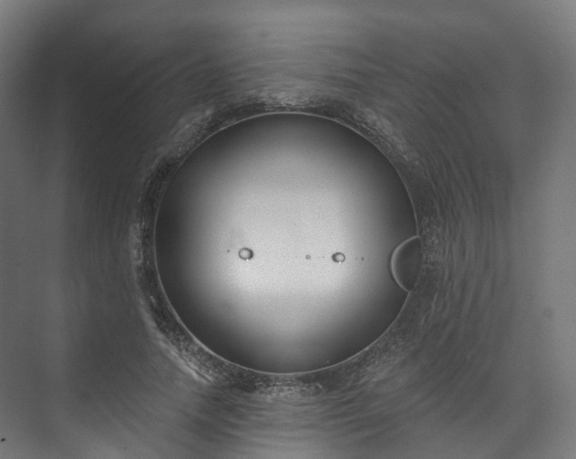 X0000073480738200608071020