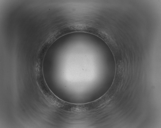 X0000073480739200608071020