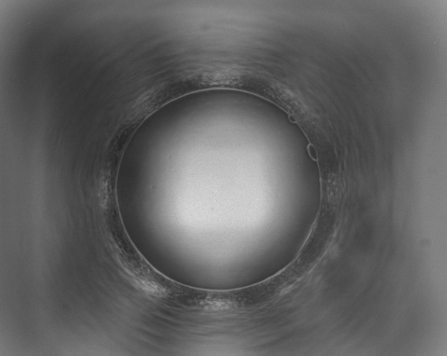 X0000073480741200608071020