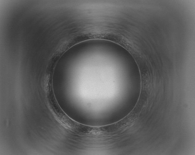 X0000073480742200608071020